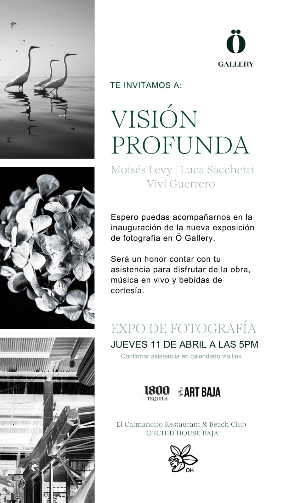 VISIÓN PROFUNDA – ORCHID HOUSE