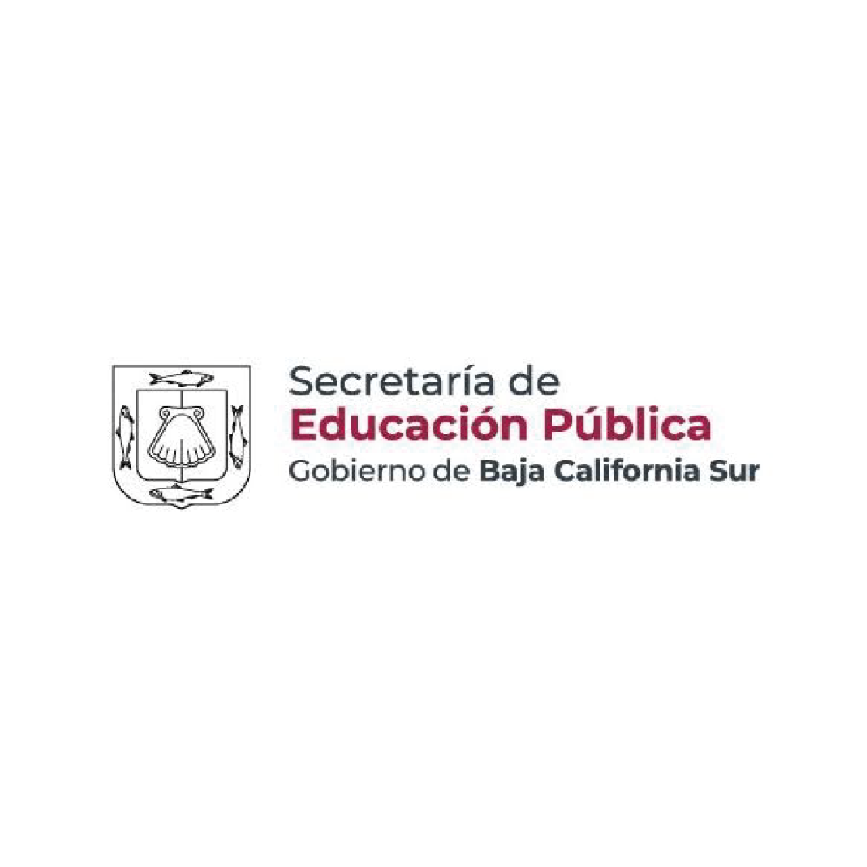 LOGO_WEB__SECRETARIA_EDUCACION_PUBLICA