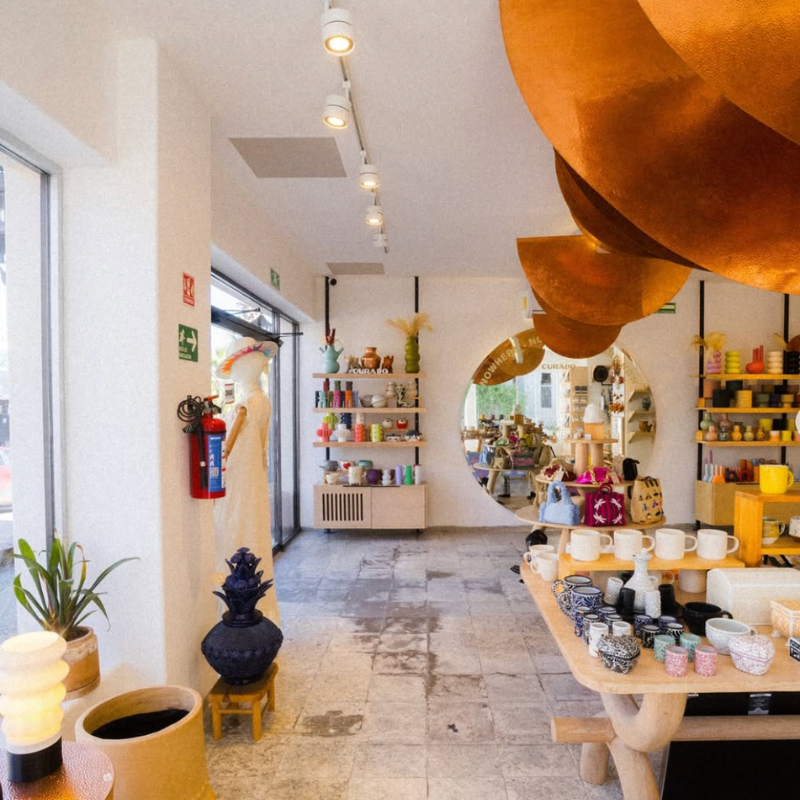 LOCAL ABC: el circuito vivo del arte en Baja California Sur