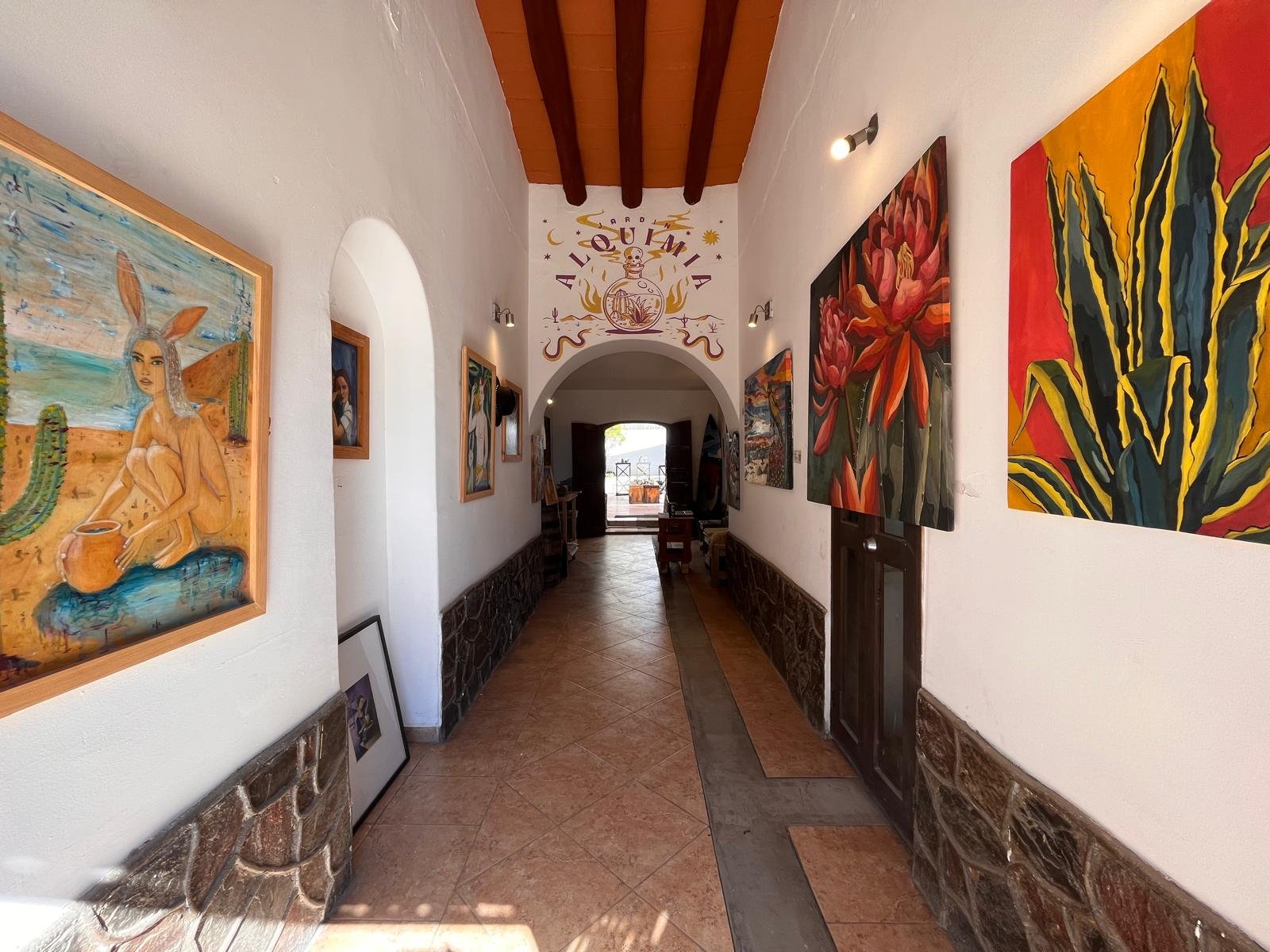 Art Gallery Alquimia: barro, memoria y territorio en ABC Art Baja 2026